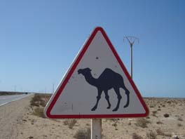 a few of the signs we've seen today