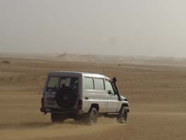 chasing Roland acros the desert