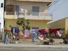 washing day at Saint Louis
