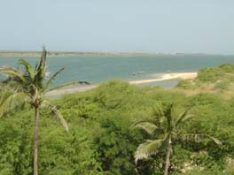 view from Zebrabar tower