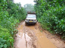 the road starts to get interesting