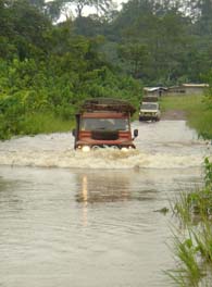 windscreen wipers on