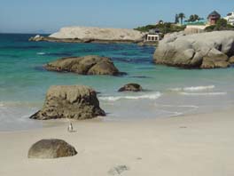 Boulders Beach